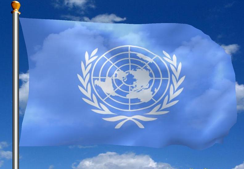 Read more about the article IGC Welcomes the Apology of UN