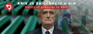 Read more about the article Statement by the IGC on the occasion of the final second instance verdict to Radovan Karadzic