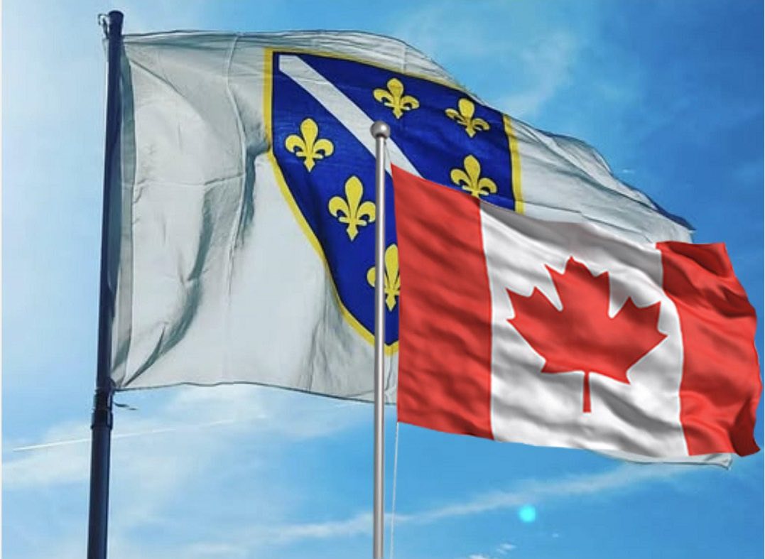 Read more about the article Gospođo Pendeš: Zašto vam smetaju ljiljani kao stoljetni simbol bosanske državnosti?